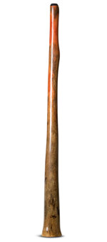 Tristan O'Meara Didgeridoo (TM294)